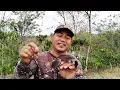 Download Lagu Tips melatih pikat kutilang ajaran #pikatkutilangranting