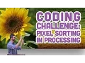 Coding Challenge Pixel Sorting in Processing