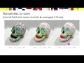 SGP 2020 Interpolated Corrected Curvature Measures for Polygonal Surfaces