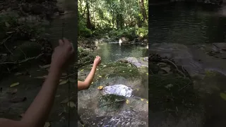 2 hours hike through the non such mountains to the tallest waterfalls in jamaica in 10 minutes