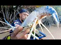 Download Lagu musim berganti berburu udang galah babon di sungai kalimantan sensasi strike mancing udang galah