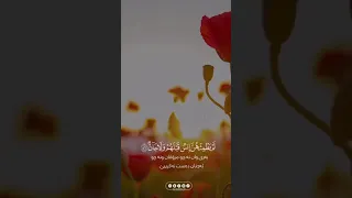 القارئ طارق محمد ماتيسر من سورة الرحمن 