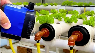 💧How to make hydroponic system at home