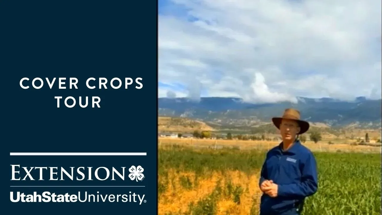 Cover Crops Tour