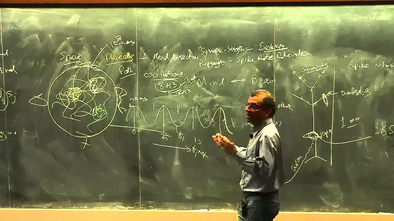 Neurophysics of Space, Time and Learning | Mayank Mehta