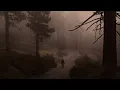 the pain of recalling memories of an empty life (playlist)