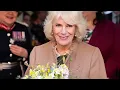 BREAKING: King Charles Just Made a BOMBSHELL Decision for Prince Louis — Camilla Left STUNNED!