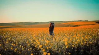 هنعيش لسه ياما ونشوف    دندنها