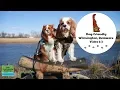 Dog-Friendly Road Trip to Wilmington Delaware Dexter The Dog s 2019 US Road Trip Vlog