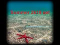 Download Lagu Dj Aris Jr.  live @ Summer 2k19
