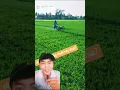 Download Lagu miền tây cắt lá lúa kiểu thái #mientay #india