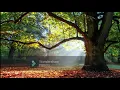 ENYA - MEMORY OF TREES (2 hours extended version......ENJOY!!!)