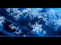 Download Lagu ENYA - MEMORY OF TREES (2 hours extended version......ENJOY!!!)