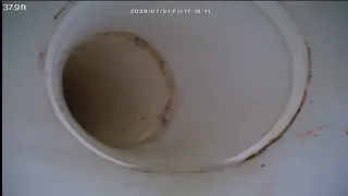 1605 ARBOR AVE MONROE MI 48162 Sewer Scan