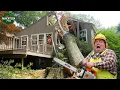 Idiots With Chainsaws: Tree Cutting Fails \u0026 Tree Falling on Houses Compilation #17