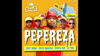 beast feat reece madlisa zuma busta 929 u0026 dj tira pepereza official audio 