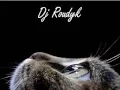 Download Lagu Sound And Safe (Dj Roudyk)