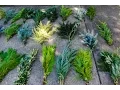 Download Lagu POM Cuttings for the Floral Industry