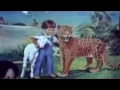 Witnesses of Jehovah