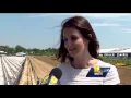 Go behind the scenes at Pimlico before Preakness