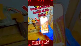                                                                                      دندنها