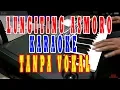 Download Lagu lungiting asmoro karaoke  koplo campursari tanpa vokal