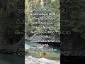 Download Lagu shivashiva 🙏🌺 shivparvathi 💕 shivshakti 💕 shivashambho bhavani 🙏 bholenath ❤️ RUDRAYA 🌺
