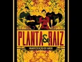 Planta e Raiz - Oh Chuva
