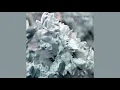 Download Lagu Pop Ambient 2017 (full album)
