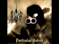 Download Lagu Iperyt - Particular Hatred (Lyrics in Description)