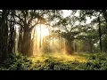 Sacred Forest Morning | Peaceful Forest Sounds for Meditation & Yoga | 3 Hours