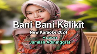 Download BANI BANI KELIKIT NEW KARAOKE 2024@DVGolam MP3