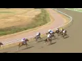 racing Lingfield Race 2 2026 ESY ESY win no 7 Rapide Vega odd 9to4