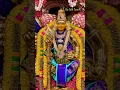 Download Lagu There is no limit to Muruga's love for beautiful words, Muruga's grace has no limit, Muruga #🙏
