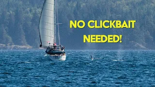 The BEST DAY of My Life! | Ch 6 E 18