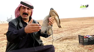 الم ح ر ر Ll من هواية إلى مهنة صيد الطائر الحر في المناطق المحررة شمال سوريا 