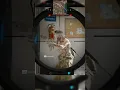 Download Lagu Got CAUGHT with NO AMMO