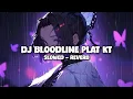 Download Lagu DJ BLOODLINE PLAT KT ( Slowed \u0026 Reverb ) Viral TikTok