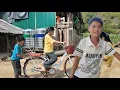Download Lagu Quá Bức Xúc Ông Nội Cháu Phung Gỡ Máng Bò Về Đun Củi Phải Tìm Đến Anh Sùng Hỗ Trợ Gấp