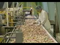 Download Lagu Business Report: Brach's Candy