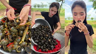 How to cooking fried snail and eat recipe