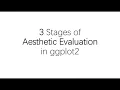 5 mins 3 stages of aesthetic evaluation in ggplot2