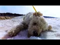 DJI Mavic •• Winter HL reel ••  #ARTY - One Night Away video