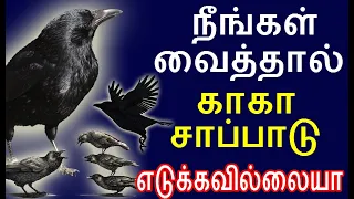 நீங்கள் வைத்தால் காகா சாப்பாடு எடுக்கவில்லையா | crow food |#nammabhoominammasamy