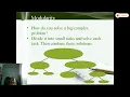 Modular Programming