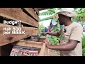 Lagu See how This Kenyan Family survives on just Ksh500 bob a week on their quarter acre of land