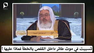                                                                                                    دندنها