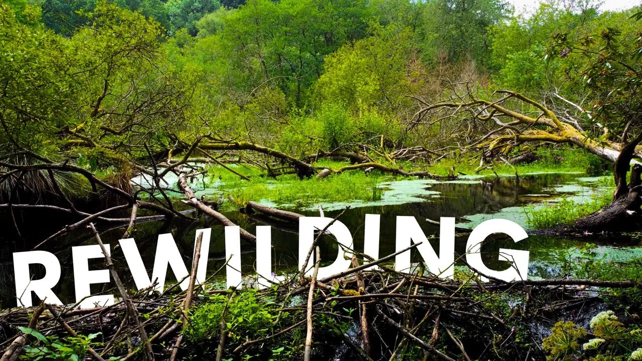 Our Rivers are Broken - here's how we fix them