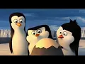 pinguin toxic meme BIBD(BADAN INTEELIJEN B*K*P DUNIA EPS 1)