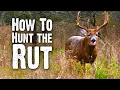 How to Hunt the Rut 842